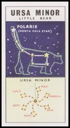 38 Ursa Minor (The Little Bear)